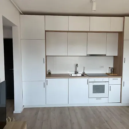 Diamond Luxury Near Presidential Palace Bukarest